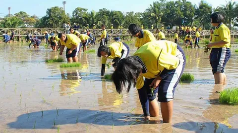 ห้องเรียนธรรมชาติสอนทำนา
