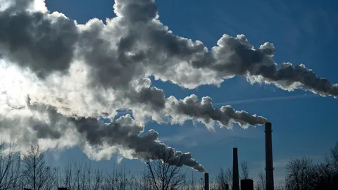 มีสัญญาณเชิงบวก