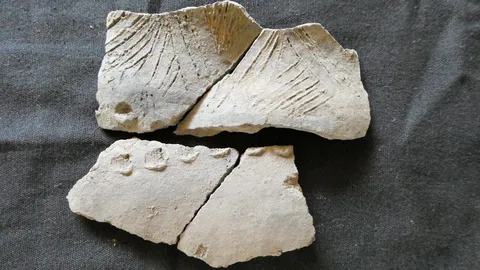 พบเครื่องปั้นดินเผากับวัฒนธรรมปริศนา