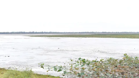 รมว.เกษตรฯ เฝ้าระวังภัยแล้ง 8 จ.อีสาน สั่งเร่งจัดหาแหล่งน้ำเสริม