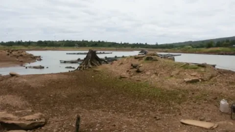 ฝนทิ้งช่วงทำชัยภูมิวิกฤติ น้ำเขื่อนลำปะทาวเหลือใช้ไม่ถึง 2 เดือน (คลิป)