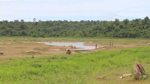 แล้งหนัก น้ำเขื่อนลำปลายมาศ ลดฮวบ รอบ 30 ปี เห็นเนินดิน ตอไม้โผล่