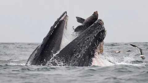 ช็อตเด็ด “ครั้งเดียวในชีวิต”!