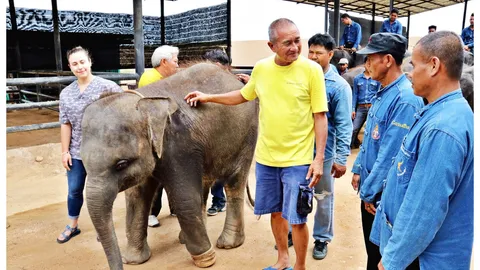 สวนนงนุช จ่อส่ง"พังฟ้าแจ่ม"ถูกกับดักขาขาด คืนกรมอุทยานฯ หลังดูแล 2 ปี 
