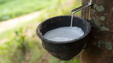 "เฉลิมชัย" ลุยแก้ยาง 3 โล 100 เล็งหารือ 5 เสือ หลังโรงงานพร้อมใจปิดปรับปรุง