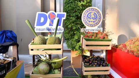 พาณิชย์ จัดกิจกรรมกระตุ้นชวนนักท่องเที่ยว กินผลไม้ไทย ช่วยเกษตรกรยิ้ม