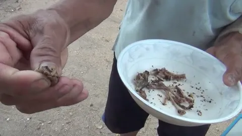 ลุงวัย 60 เปิบคางคกย่างแกล้มเหล้าขาว ญาติพบนอนน้ำลายฟูมปากเสียชีวิต