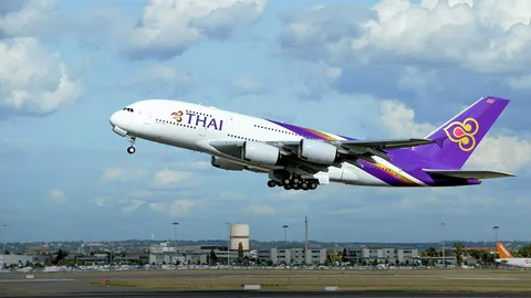 "การบินไทย" ยันไม่เกี่ยวข้องกับ คู่รักดารา อัดคลิปทดสอบความอดทนของแอร์ฯ