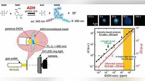 ประดิษฐ์กล้องความไวสูงเพื่อตรวจหาโรค