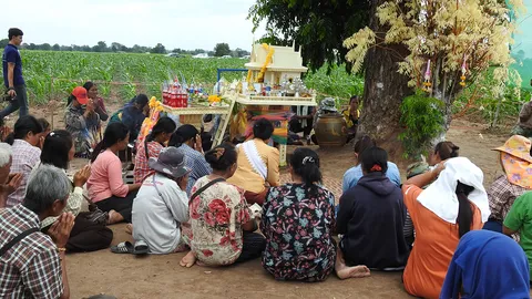 เซียนหวยแน่นไร่ข้าวโพด ส่องเลขเด็ด "ต้นสะเดาทอง" หลายคนเห็น 79 