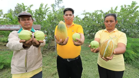 สพด.อุบลฯ เสริมรู้เกษตรกร แนะพัฒนาที่ดินตาม Zoning By Agri Map