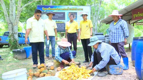 ศูนย์ปฏิบัติที่ดินชัยพัฒนา-แม่ฟ้าหลวง สู่ชุมชนเรียนรู้ดิน น้ำ ป่าไม้