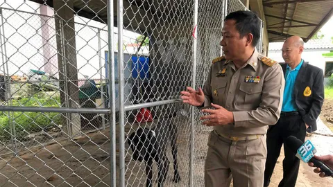 “ร.10” ทรงรับ 13 เกรทเดน อดอยากผอมโซ! ไปรักษากับฟื้นฟู (คลิป)