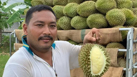 อวบอิ่มเต็มพู จีนสั่งไม่อั้น หมอนทองคลองลอย ของอร่อยบางสะพาน