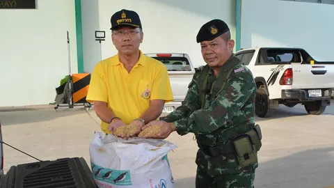 ศุลกากรอรัญฯ บุกจับข้าวเปลือกลอบนำเข้าเขมร 12 ตัน เตรียมส่งนายทุน