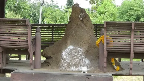 คนรักหวยขอเลขเด็ด "พ่อปู่จอมทอง" จอมปลวก ศาลาวัดแปดแก้ว เห็น 5 9 ชัด (คลิป)