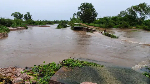 ฤทธิ์พายุ 