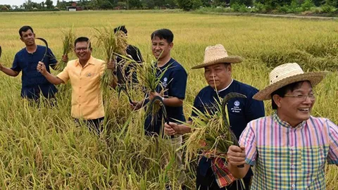 ประเพณีปลูกข้าวชาวนาอ่างทอง