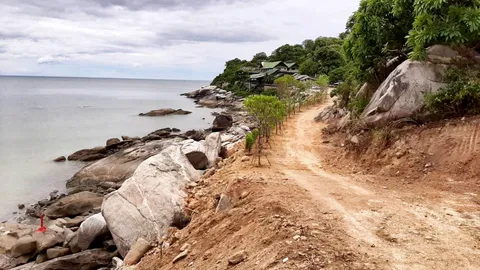 3 ส.ส.ฝ่ายค้าน ลุยสอบป่าเขาตะเกียบ ร้านซีฟู้ดดังบุกรุก สร้างถนนลูกรัง