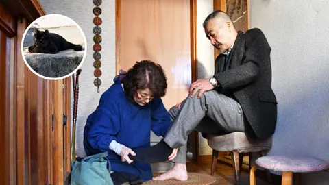 ก่อนรักจะพัง แมวหายไปไหน หนังญี่ปุ่น สุดละมุน  