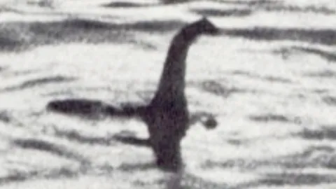 นักวิทย์ชี้ สัตว์ประหลาด “เนสซี” แห่งล็อคเนสแท้จริงอาจเป็นปลาไหลยักษ์