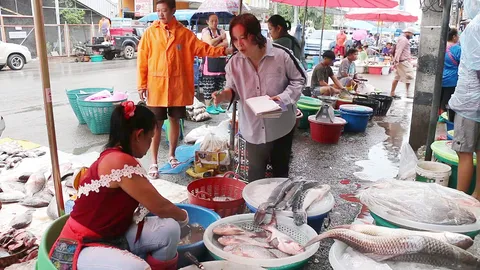 ขอนแก่นน้ำมาเยอะ ปลาน้ำจืดเพียบ แม่ค้ายิ้มขาย ปลาสลิดไข่ กก.ละ 100