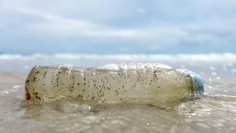 วิ่งคืนคุณค่าสู่ทะเล