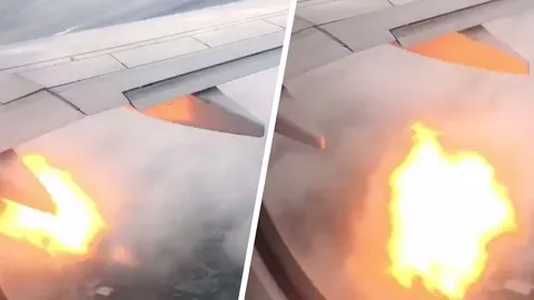 ส่งข้อความลากันแล้ว ระทึก เครื่องบินSwoop ชนฝูงห่าน จนเครื่องยนต์ไฟลุก (คลิป)