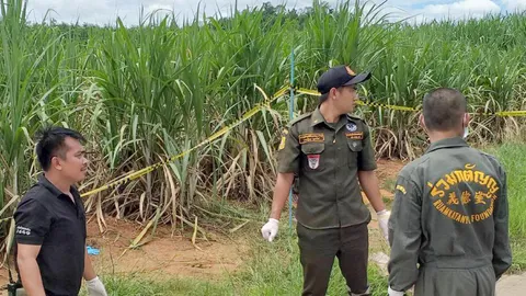 พบศพนุ่มใหญ่ ฆ่าโหดทิ้งอำพราง รวบมืือสังหารเป็นรุ่นพี่ อ้างเมาทะเลากัน