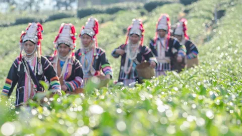 ศูนย์เรียนรู้ชาวเขา