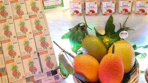 ปัจจัยแห่งความสำเร็จ