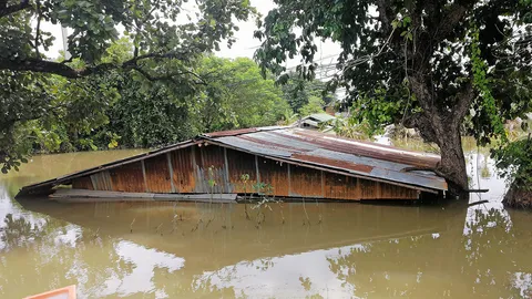 John raced to her rescue.