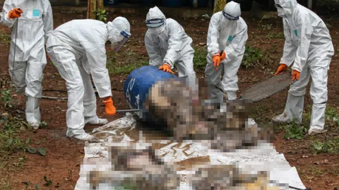 พิสูจน์ซาก