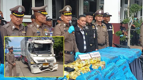 ไอซ์บิ๊กลอต