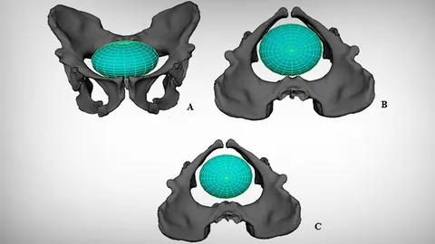 มนุษย์โบราณอาจคลอดทารกง่ายกว่ามนุษย์ยุคใหม่