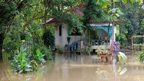 พระไทยในสหรัฐฯช่วยน้ำท่วม