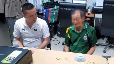 แก๊งควาย