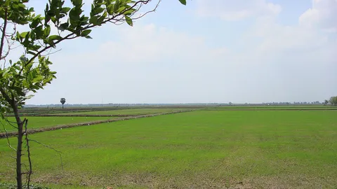 ไฟเขียวเกษตรกรคืนที่ดิน ส.ป.ก. รัฐจ่ายชดเชย 6 หมื่นบาทต่อไร่ ผลักดันเป็นแหล่งท่องเที่ยว