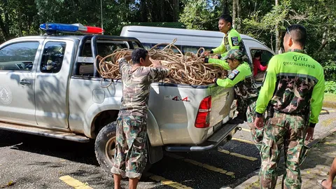 เจ้าหน้าที่เตรียมกู้ซากช้างตกเหว ยันป้องกันไม่ให้ไหลลงเขื่อนขุนด่าน