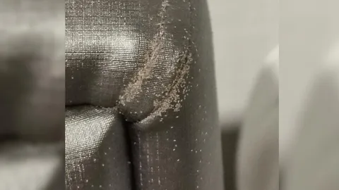 ใครจะหลับลง สาวซื้อเตียงใหม่ ได้ของแถมไต่ยั้วเยี้ยเป็นฝูง