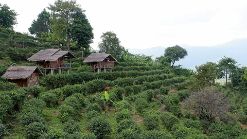 เปียงซ้อ..ปลายฟ้า "น่าน"