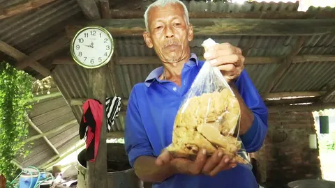 หวานที่สุดของชุมพร “น้ำตาลปี๊บเกสรมะพร้าว 100%” โบราณดั้งเดิม อ.สวี (คลิป)