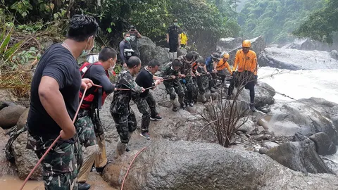 กู้ซากช้าง