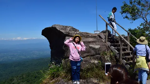 นักท่องเที่ยวไปพิษณุโลก แห่สัมผัสลมหนาวรับไอหมอก อช.ภูหินร่องกล้า