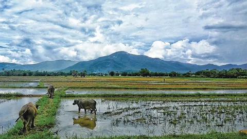 "ออนใต้-พันนาภูเลา" เรื่องเล่าจาก...สันกำแพง