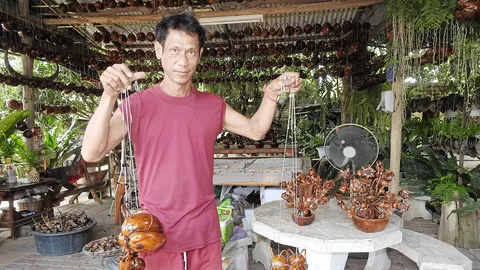 โมบายลูกมะพร้าว