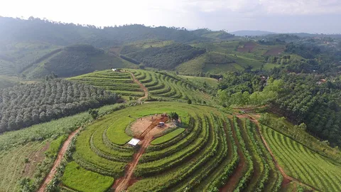 ห่มหมอกกอดหนาว “ซาปาเมืองไทย” สัมผัสธรรมชาติชาวม้ง “บ้านน้ำจวง”