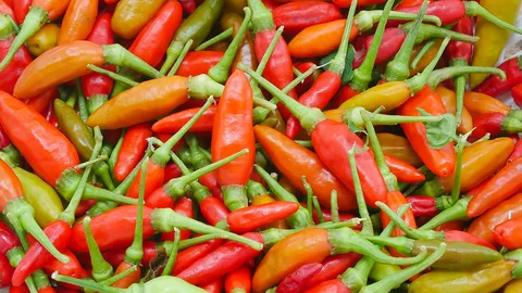 สารพิษตกค้างในพริกขี้หนูสด