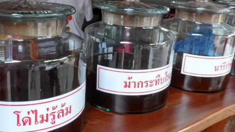 ปิดตำนานยาดอง สะเทือนหมอพื้นบ้าน ทำลายตำรับยาไทย สรรพคุณครอบจักรวาล