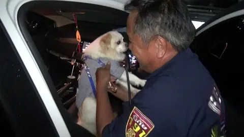 สาวติดเครื่องเปิดแอร์ให้น้องหมานอนในรถ สุดท้ายตูบซนล็อกรถเปิดไม่ได้